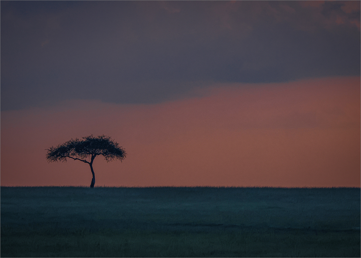 Sunset Silhouette - Ian Parker